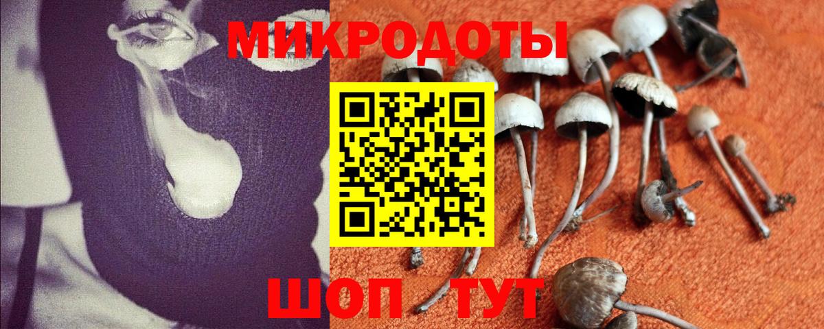 Галлюциногенные грибы Cubensis Кинель
