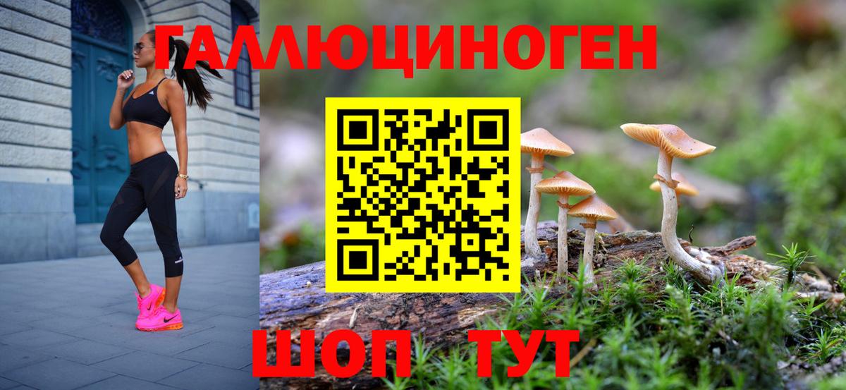 Псилоцибиновые грибы мицелий  Вход с VPN  Галлюциногенные грибы прущие грибы  Кинель 